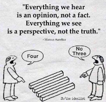 Opinions and Perspectives